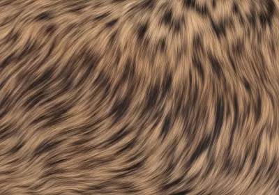 Imagen PNG para descargar